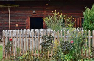 How To Start Your Backyard Garden