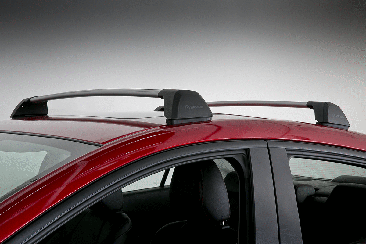 mazda 3 bike roof rack