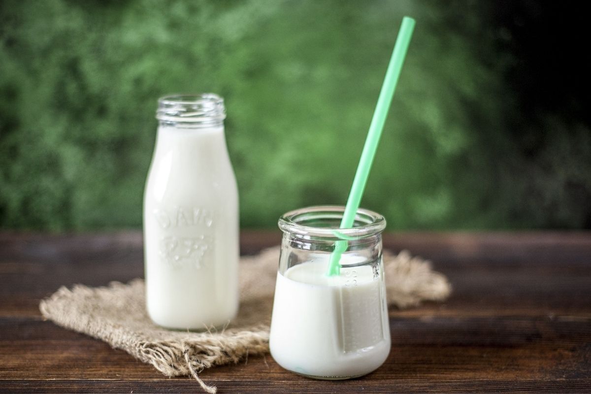 cannabis milk