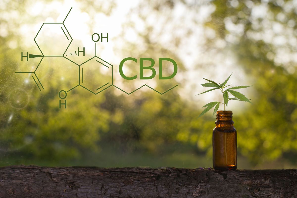 cbd medicinal