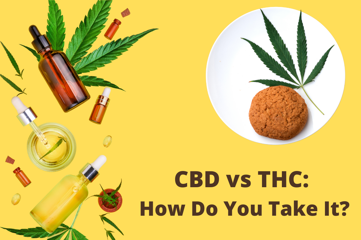 CBD vs THC: How do you take it?