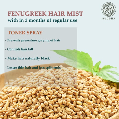 Fenugreek for Hair Benefits and Uses  Purplle