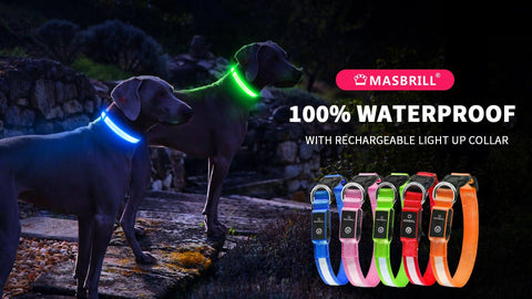 MASBRILL Rechargeable Waterproof LED Light-Up Dog Collar