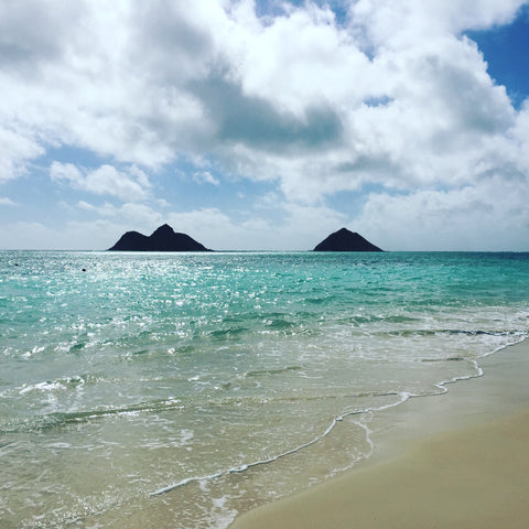 hawaii beach