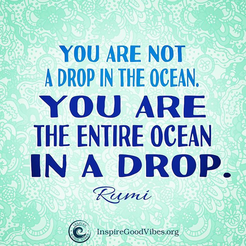 You are not a drop in the ocean. You are the entire ocean in a drop- rumi