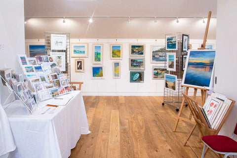 Newquay Society of Artists Group Exhibition Trenance Cottages 3-11 August 2019