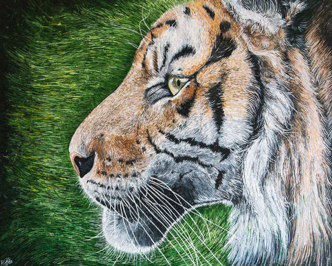 The Tracker Tiger Painting Work in Progress Artist Diane Griffiths