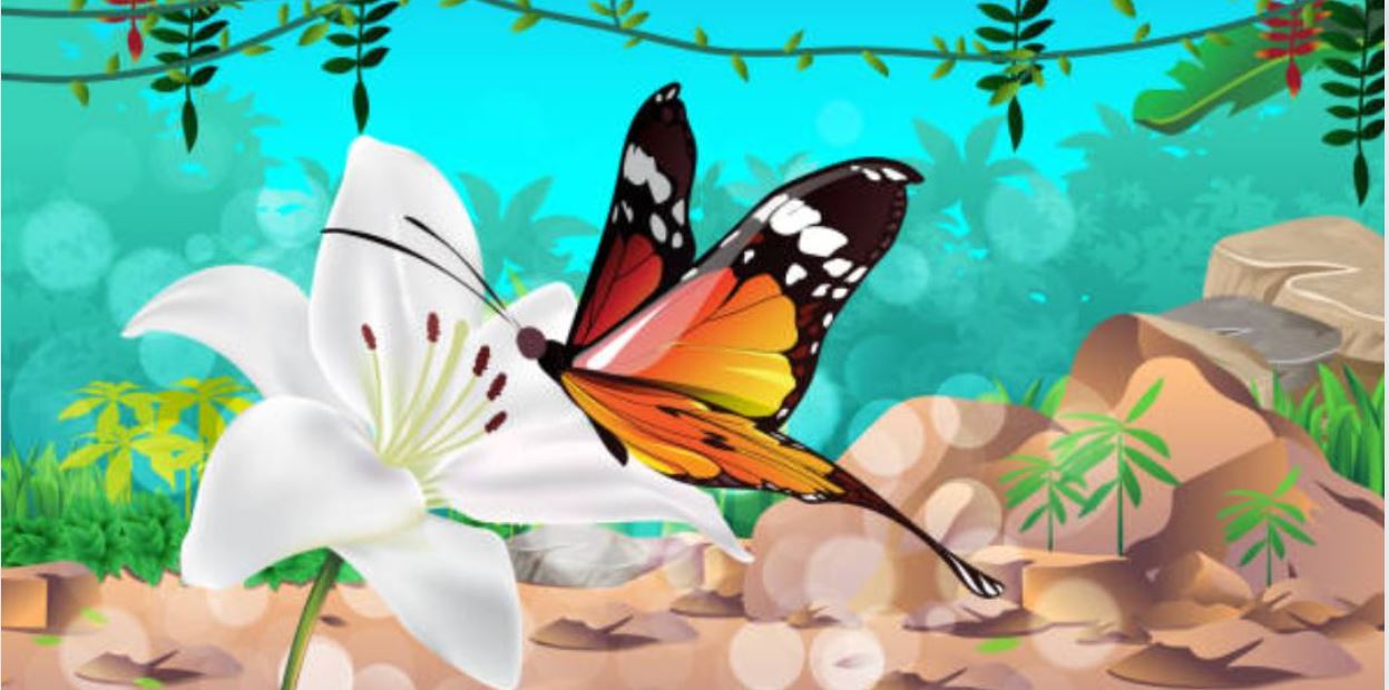 butterfly mania's mission