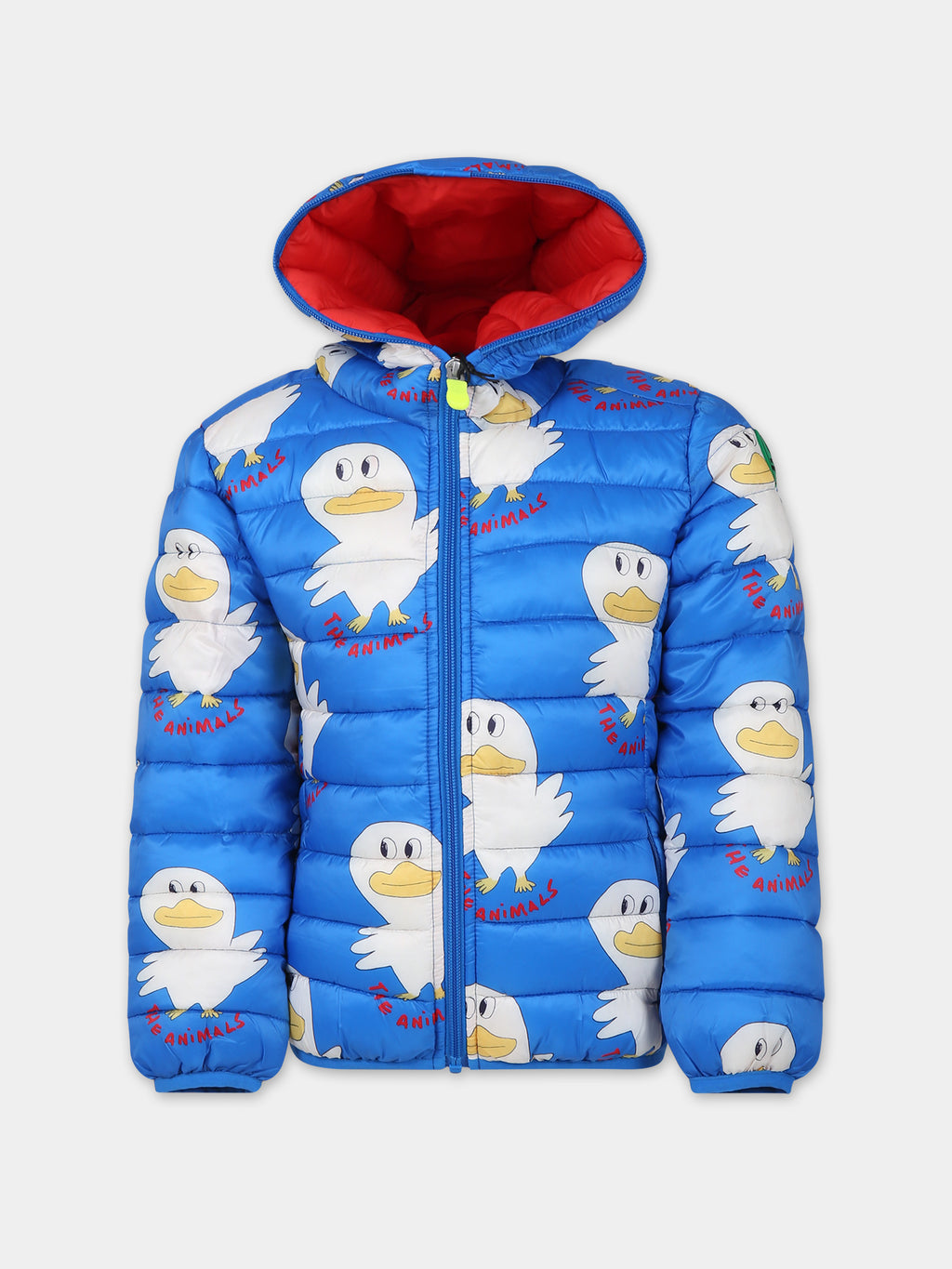 Light blue Lobster down jacket for boy with duck print and logo