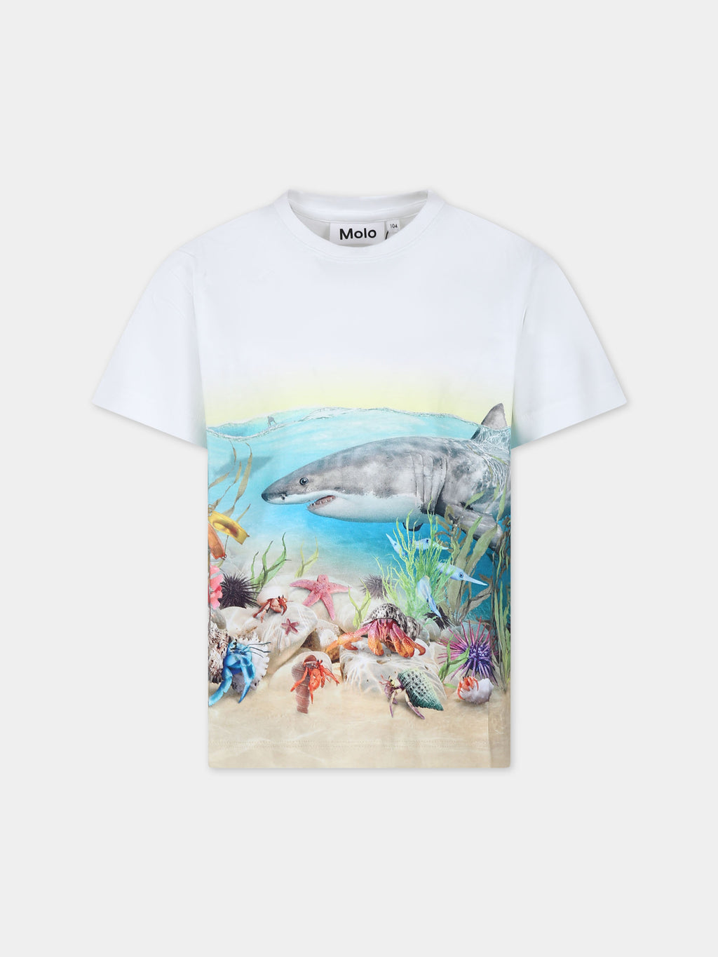 White t-shirt for boy with shark print
