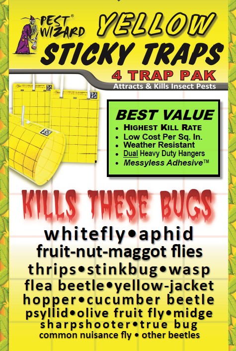 Controz Lizard Sticky Traps  bundle deal – Jungle Pest