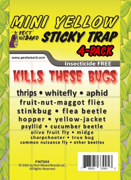 Controz Lizard Sticky Traps  bundle deal – Jungle Pest