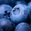 Blueberry & Vanilla Wax Melts CharlartsCrafts