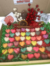 Christmas Wax Melt Variety Gift Box CharlartsCrafts