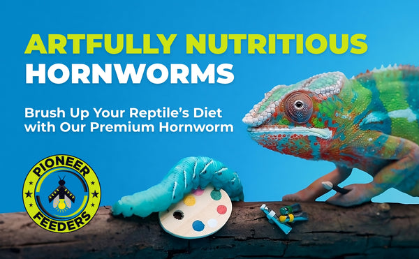 hornworms are a treat for reptiles