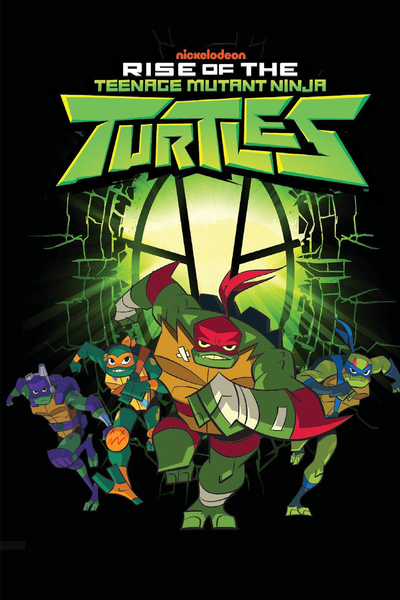 Rise of the Teenage Mutant Ninja Turtles: The Big Reveal (Rise of