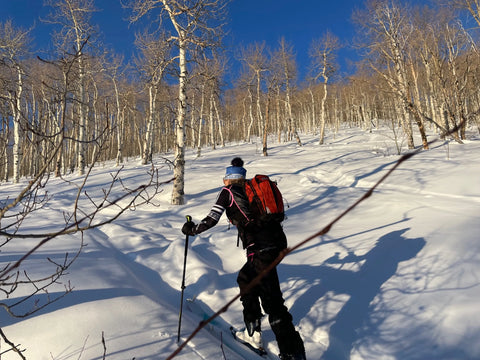 Mike Backcountry Skiing