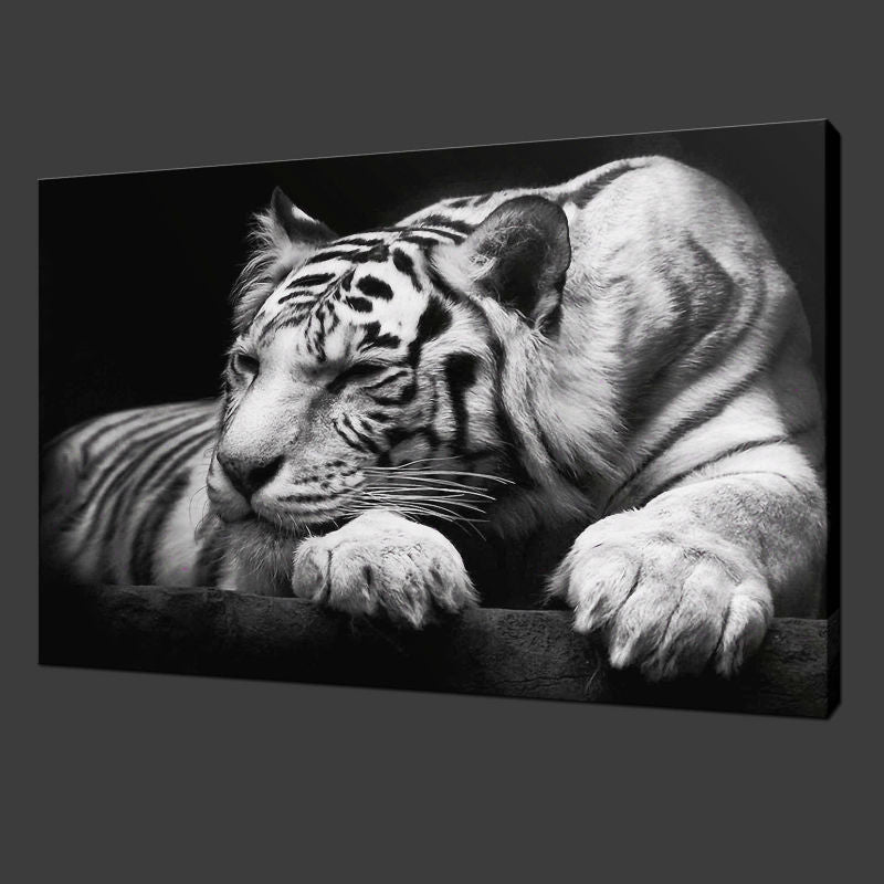 Animal Black and White Tiger Canvas Print Painting Modern Wall Art Hom