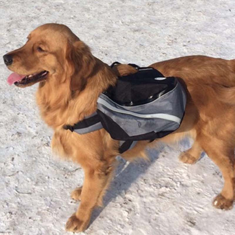 Outdoor dog Saddle backpack bag pet cat dog carrying bags Medium and L ...