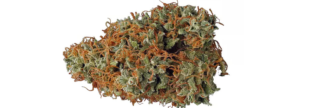 Liberty Haze: Cannabis Bud