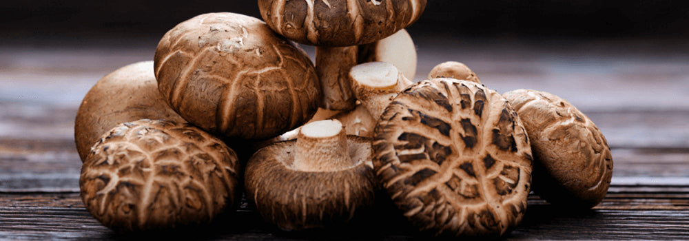 Shiitake Mushrooms