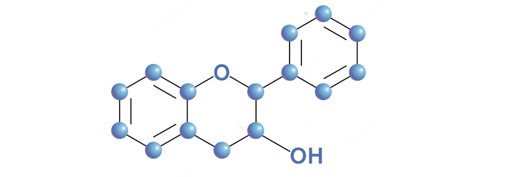Flavonoid molecular chain