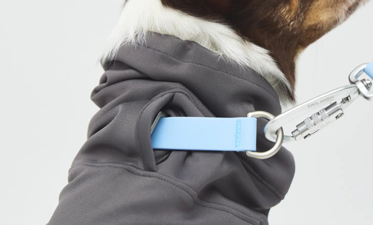 リードホールの二重カバー構造で毛のはみ出しを防ぐ犬用スーツ