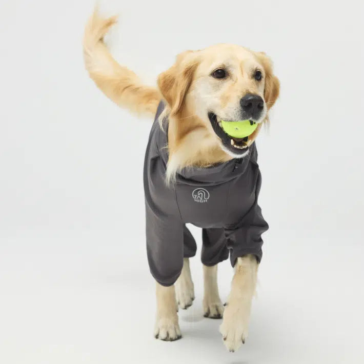 4Wayストレッチで動きやすい犬用スーツの着用例