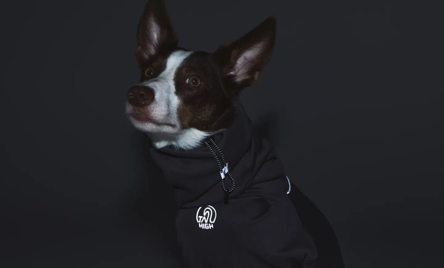 夜間の視認性を高めるリフレクト素材搭載の犬用ヒーティングアクティブスーツ