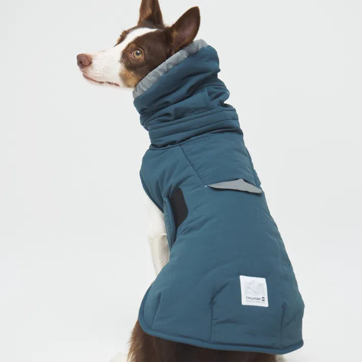 ボーダーコリーが着用する犬用冬服