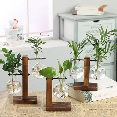 propagation vases