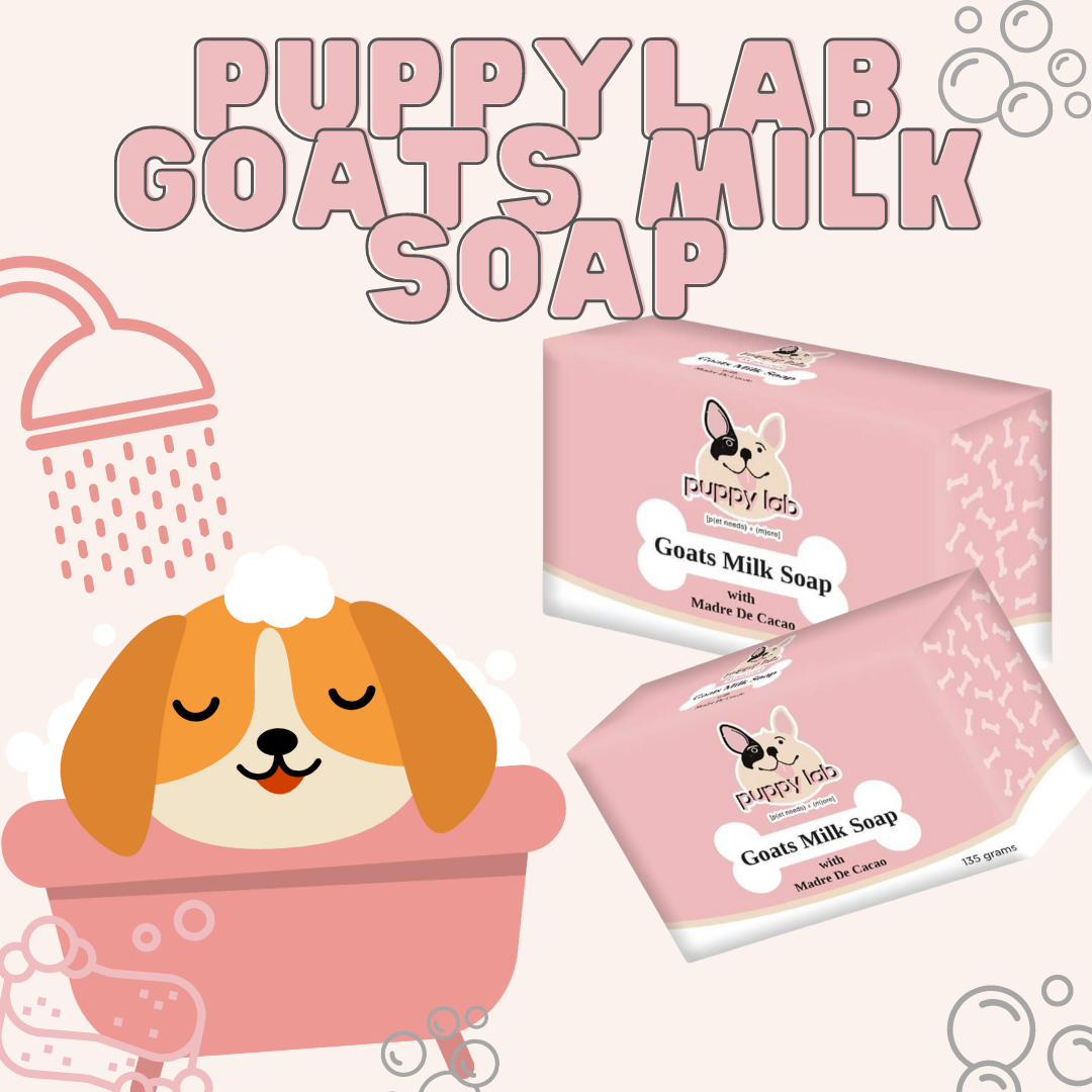 PuppyLab Goats Milk Soap with MDC – puppylabph
