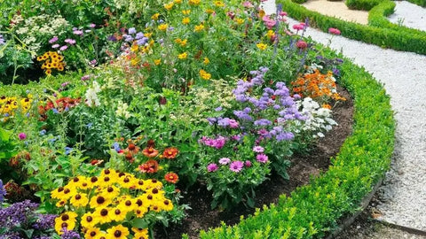 Best Garden Plants For First-Time Gardeners