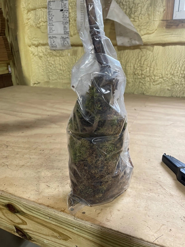 How We Package Plants