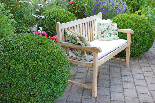 Wintergreen Boxwood shrubs