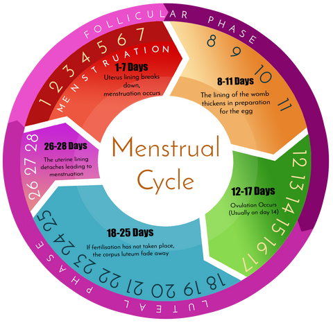 Image result for FULL CYCLE PERIOD