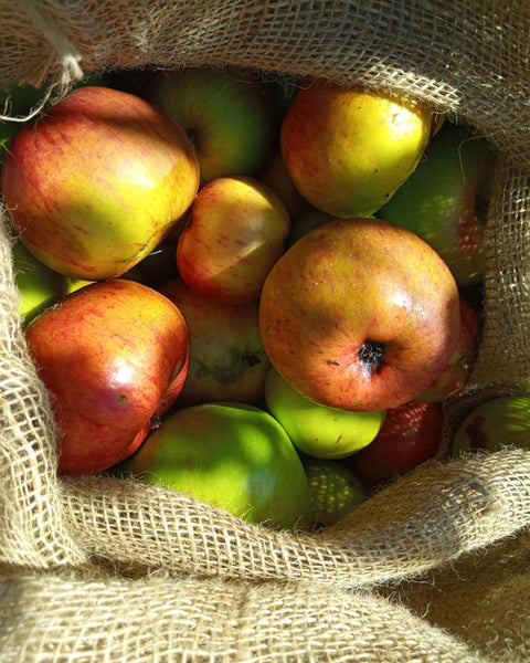 Jutesack mit frischen Äpfeln von unseren Streuobstwiesen