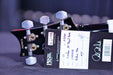 PRS Custom 24 Floyd Purple Mist 0354572 - HIENDGUITAR   PRS GUITAR