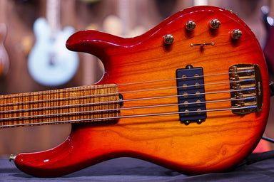 fretless bass pickups