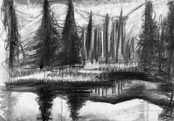 charcoal landscape drawing