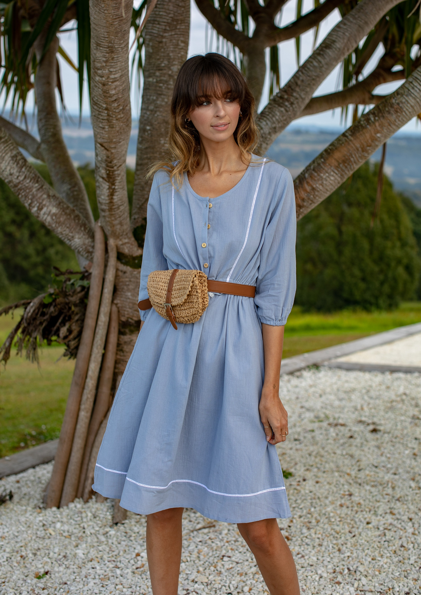 isabelle dress chambray