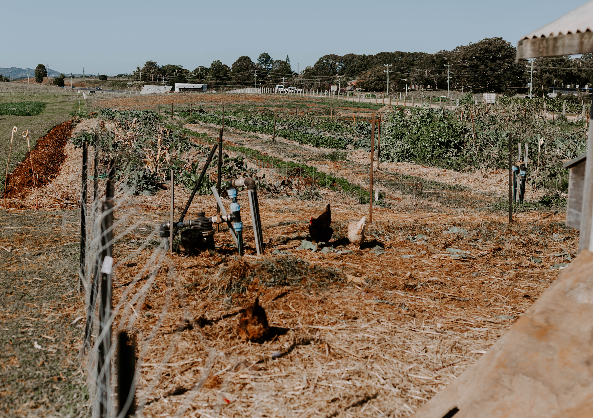 the farm byron bay