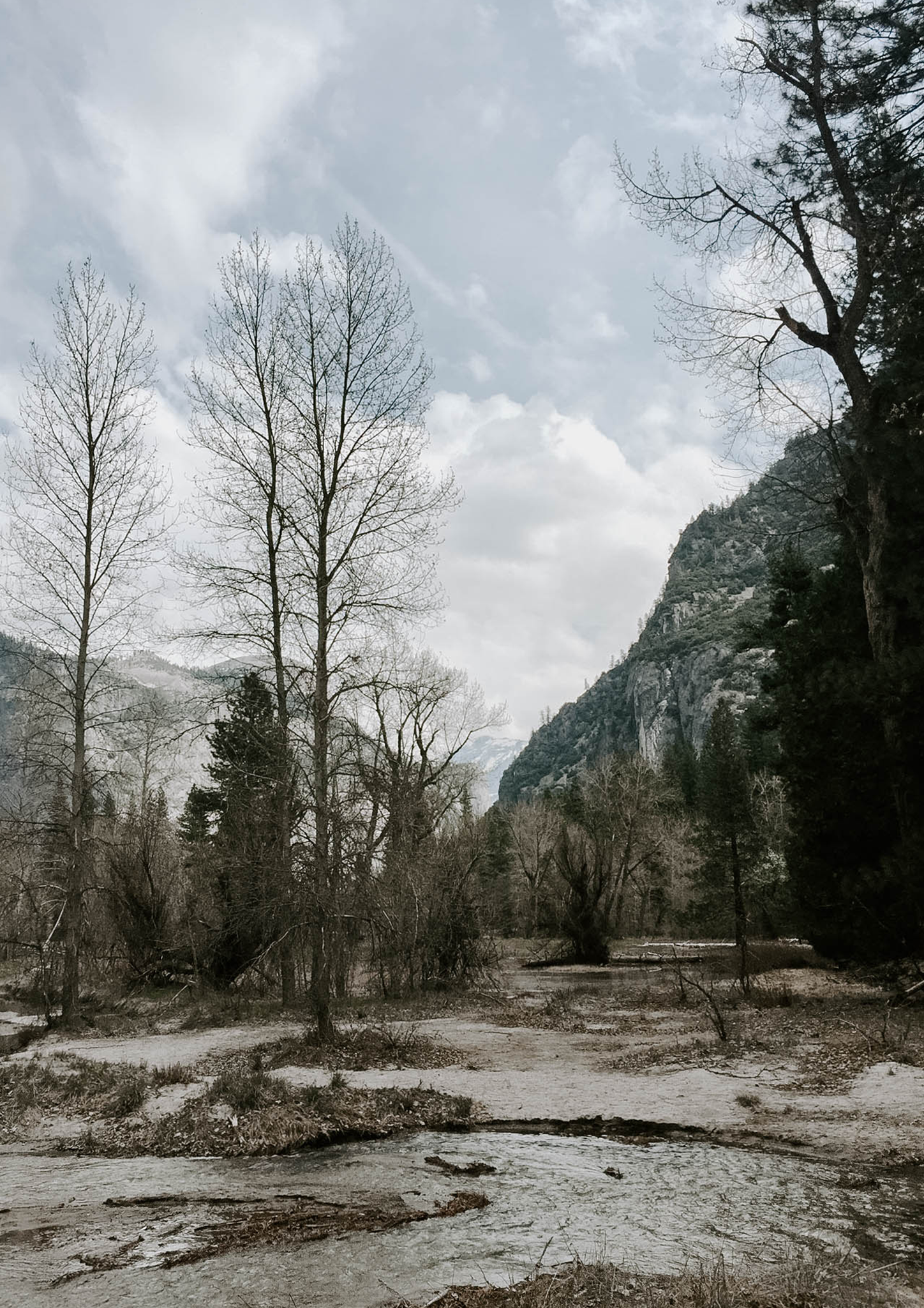 yosemite park