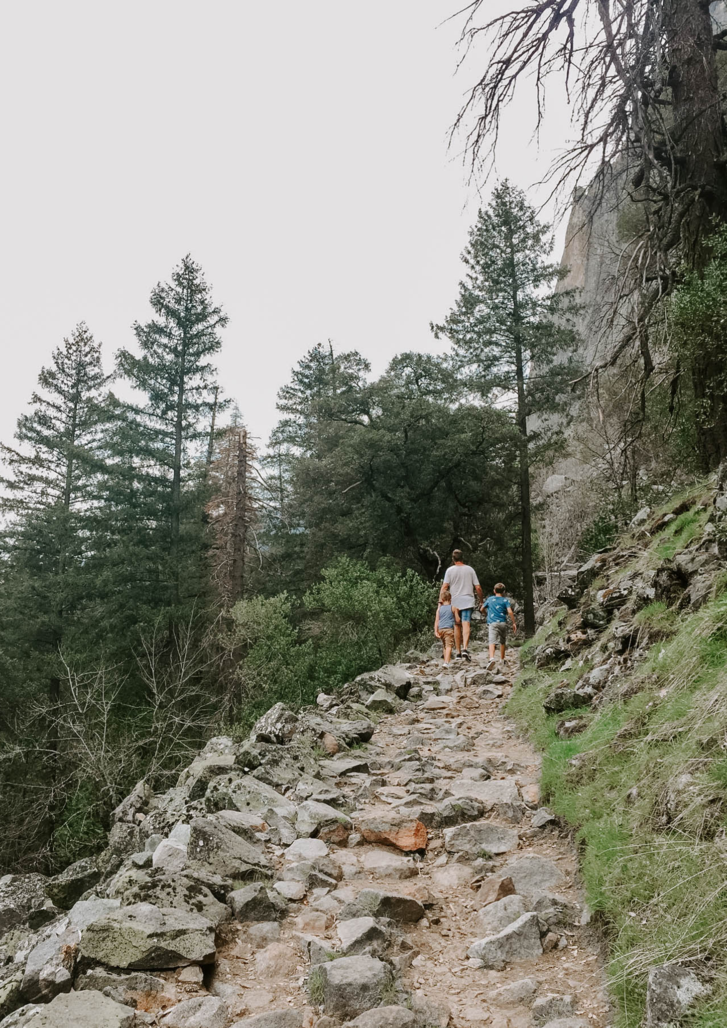 yosemite park