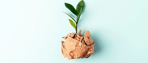 a plant covered in a pape bag oeko tex