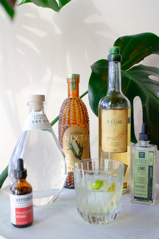 Bottles of Freeland Spirits Dry Gin, Nixta, lime bitters, bbq bitters, and Mezcal on a white table surrounded by monsterra plant fronds. Cocktail in front with a lime twist.