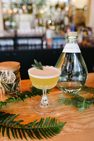 Bar top with Into the Wild cocktail and Freeland Spirits Forest Gin green bottle. Decorated with ferns. 