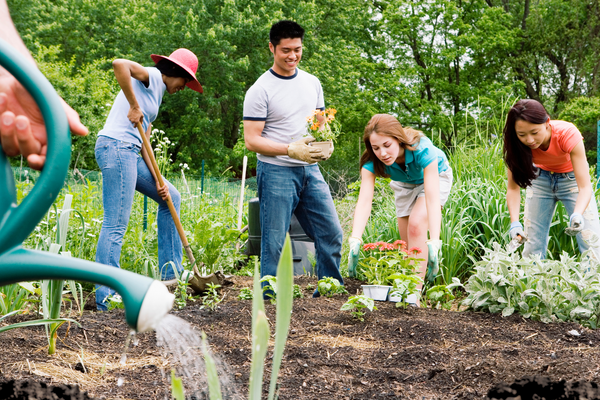gardening together and using organic fertilizer