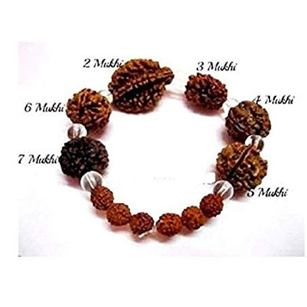 Trideva Blessings 3 Mukhi Rudraksha BraceletThree Face Rudraksha Bracelet   17 Beads  Amazonin Jewellery