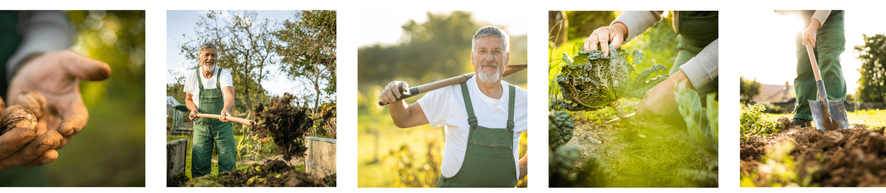 גבר עם כלי גינון עוסק בגינון בגינה, כלי גינון, שתילה וטיפול בגינה, גידול ירקות